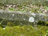 image of grave number 240921